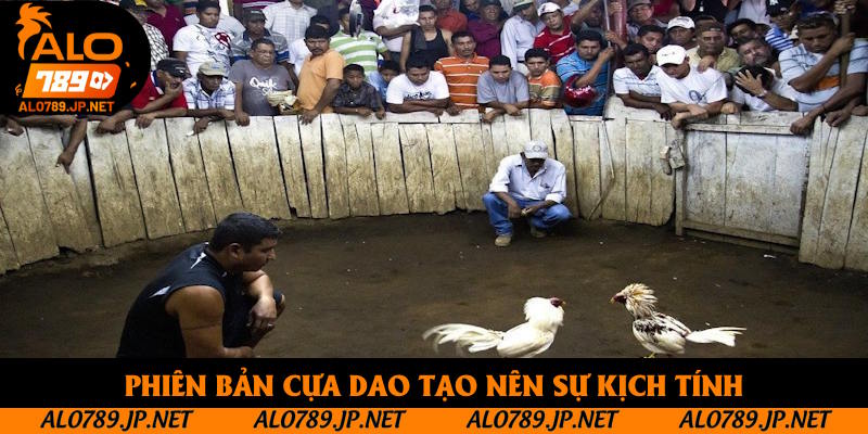 Đá Gà Trực Tiếp Thomo Hôm Nay: Những Loại Hình Đối Kháng Đỉnh Cao 4 Phiên bản cựa dao tạo nên sự kịch tính